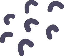 iROID Careers