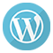 Wordpress Development Company in India