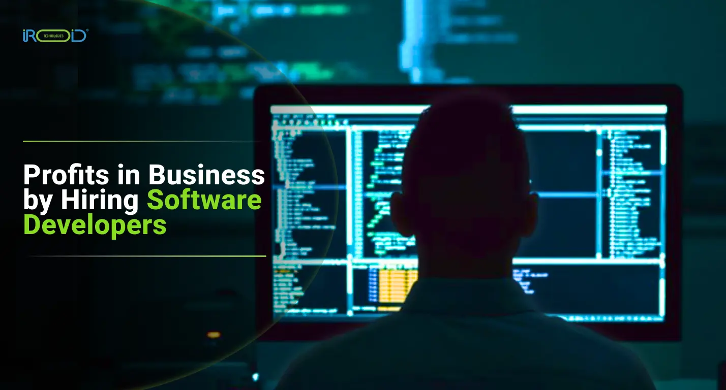 Profits in Business by Hiring Software Developers